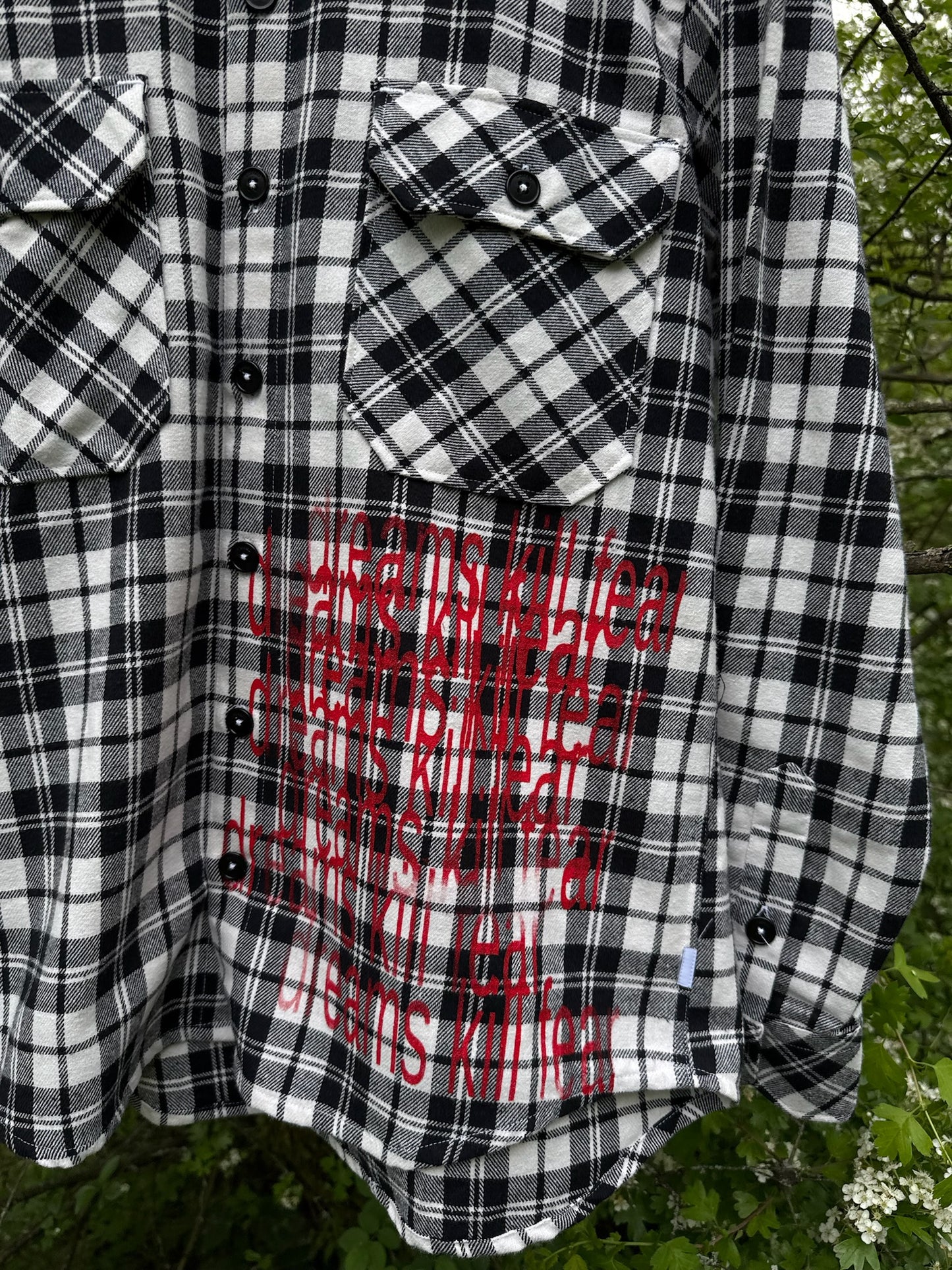 Dreams Kill Fear Shirt v2